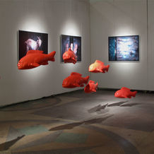 Tangram Art... <br> exhibition <br> 2009 <br> 
